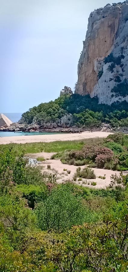 Agriturismo Muristene Villa Dorgali Buitenkant foto