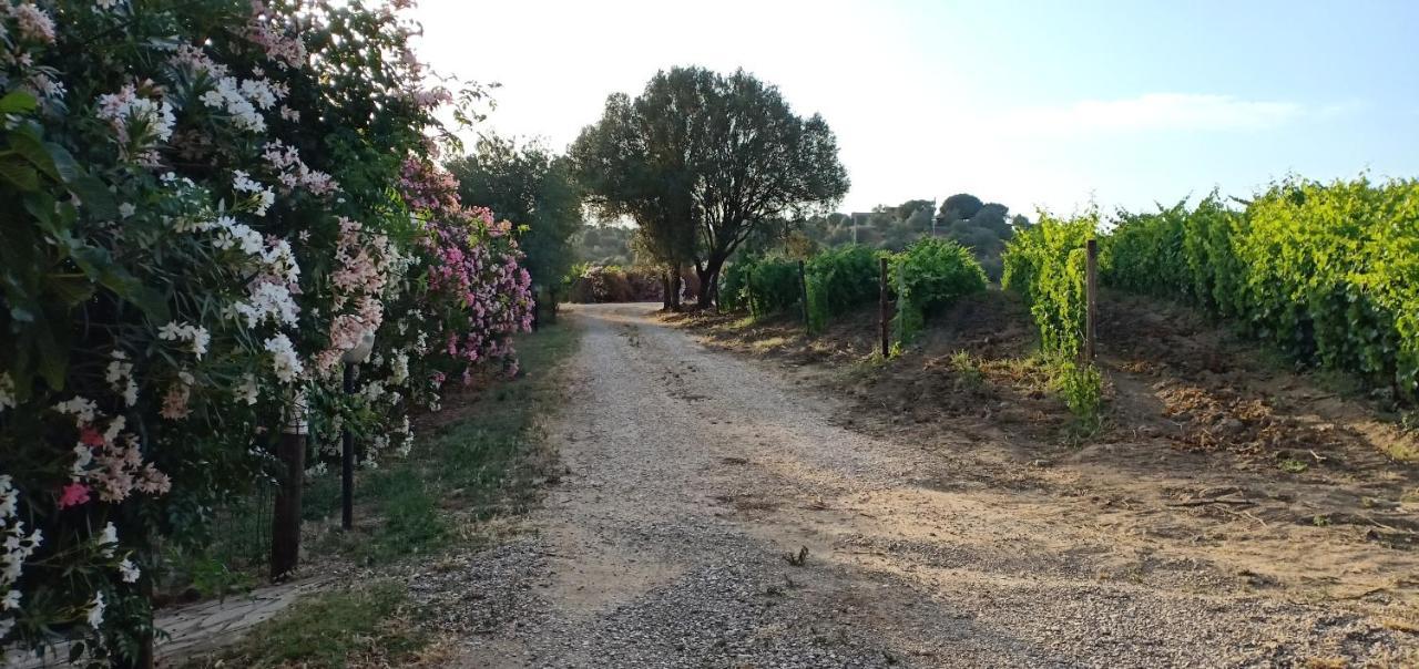 Agriturismo Muristene Villa Dorgali Buitenkant foto