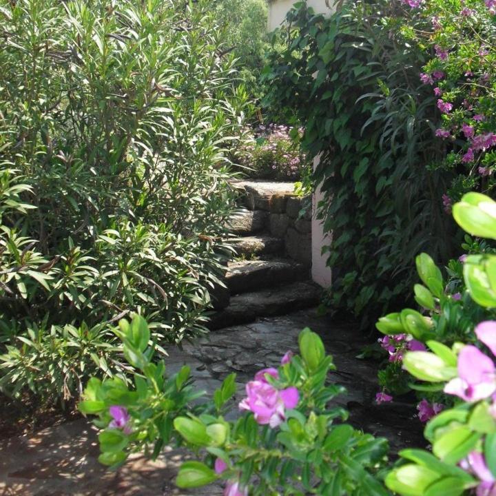 Agriturismo Muristene Villa Dorgali Buitenkant foto